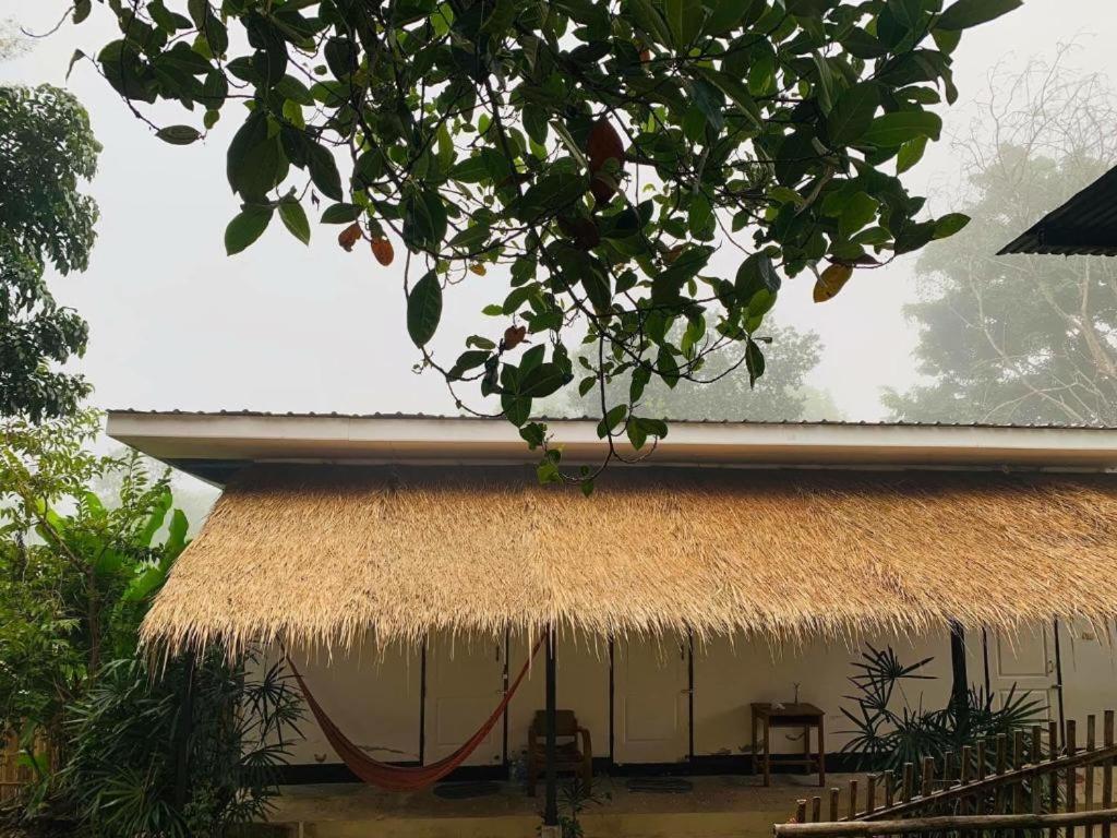 Pai Yard Guest House Ngoại thất bức ảnh
